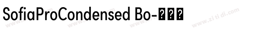 SofiaProCondensed Bo字体转换 SofiaProCondensed Bo字体转换